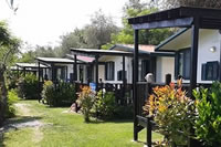 campingdeifiori pl camping-liguria 008